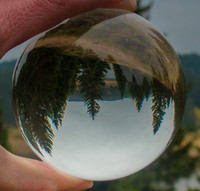 Evergreen Crystal