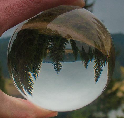 Evergreen Crystal