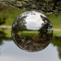 Audubon Park, New Orleans in a Ball