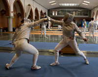 Fencing Hanover 3