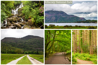 Killarney National Park