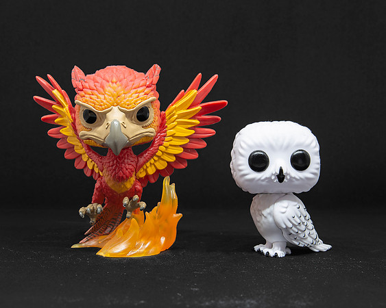 Funko Bobblehead - Fawkes and Hedwig