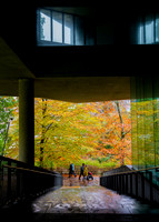 Glucksman Gallery, University College Cork