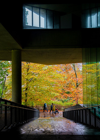 Glucksman Gallery, University College Cork