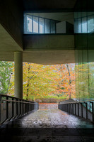 University College Cork