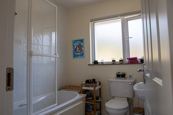Bathroom View 2