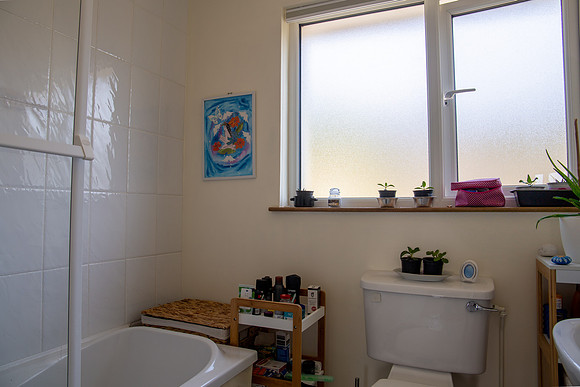 Bathroom View 1